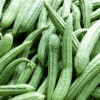 Turai (Ridge Gourd)