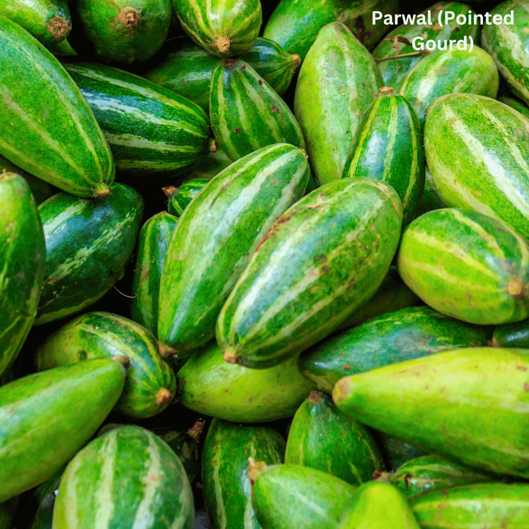 Parwal (Pointed Gourd)