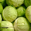 Cabbage